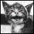 :iconphill-munky: