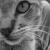 :iconphillippa17: