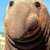 :iconphilob: