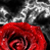 :iconphilomena-gavod: