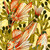 :iconphirmament: