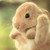 :iconphisper: