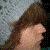:iconphlipsen: