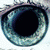:iconphlooke: