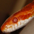 :iconphoebian: