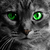 :iconphoenix-10-16:
