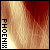 :iconphoenix-design: