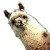 :iconphoenix-dust: