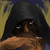 :iconphoenix-in-chains: