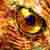 :iconphoenix-j: