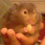 :iconphoenix-tsubasa: