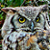 :iconPhoenix51200:
