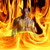 :iconphoenix72: