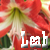 :iconphoenixgryffin: