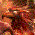 :iconphoenixhero: