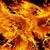 :iconphoenixnac: