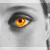 :iconphoenixscorned: