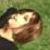 :iconphoenixsoul13: