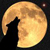 :iconphoenixtm: