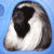 :iconphoinix88: