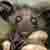 :iconphoiyikas: