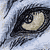 :iconpholow: