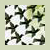 :iconpholus: