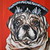:iconphooka05: