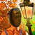 :iconphosphor-q: