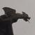 :iconphoteos:
