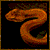 :iconphoto-boy: