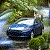 :iconphoto-lion: