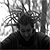 :iconphoto-moe: