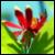 :iconphoto-phlow: