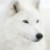 :iconphoto-reel:
