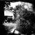 :iconphoto1nsan3:
