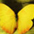 :iconphotoarte: