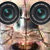 :iconphotobite: