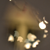 :iconphotobomba: