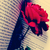:iconphotobugkay: