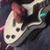 :iconphotocaster: