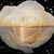 :iconphotochick180: