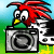 :iconphotockn: