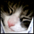 :iconphotocraps: