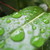 :iconphotocrazy14: