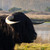 :iconphotofert: