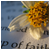:iconphotofloss: