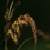:iconphotog024: