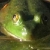 :iconphotogeek30: