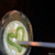 :iconphotogenicmonkey: